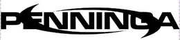 PENNINGA